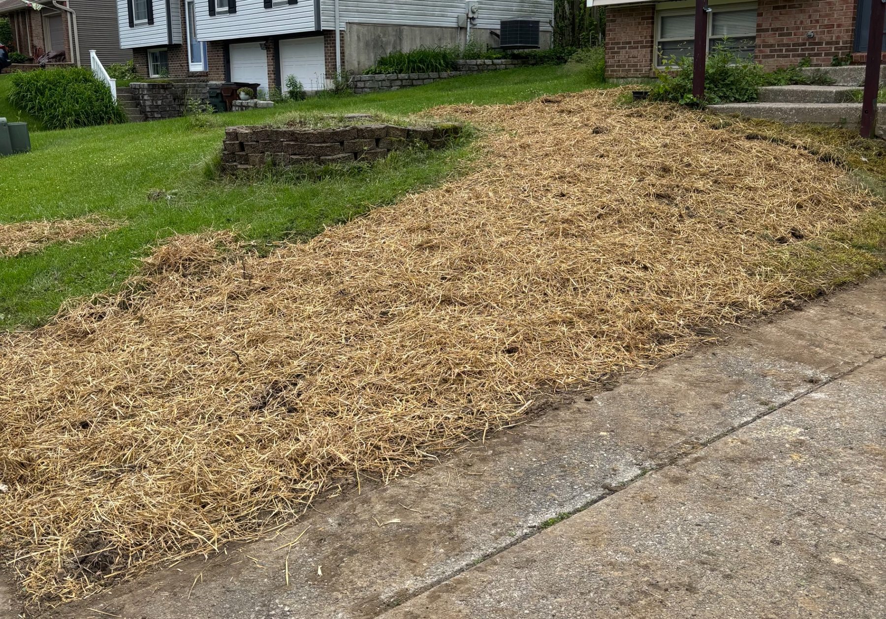 After: refreshed landscape beds with dark mulch