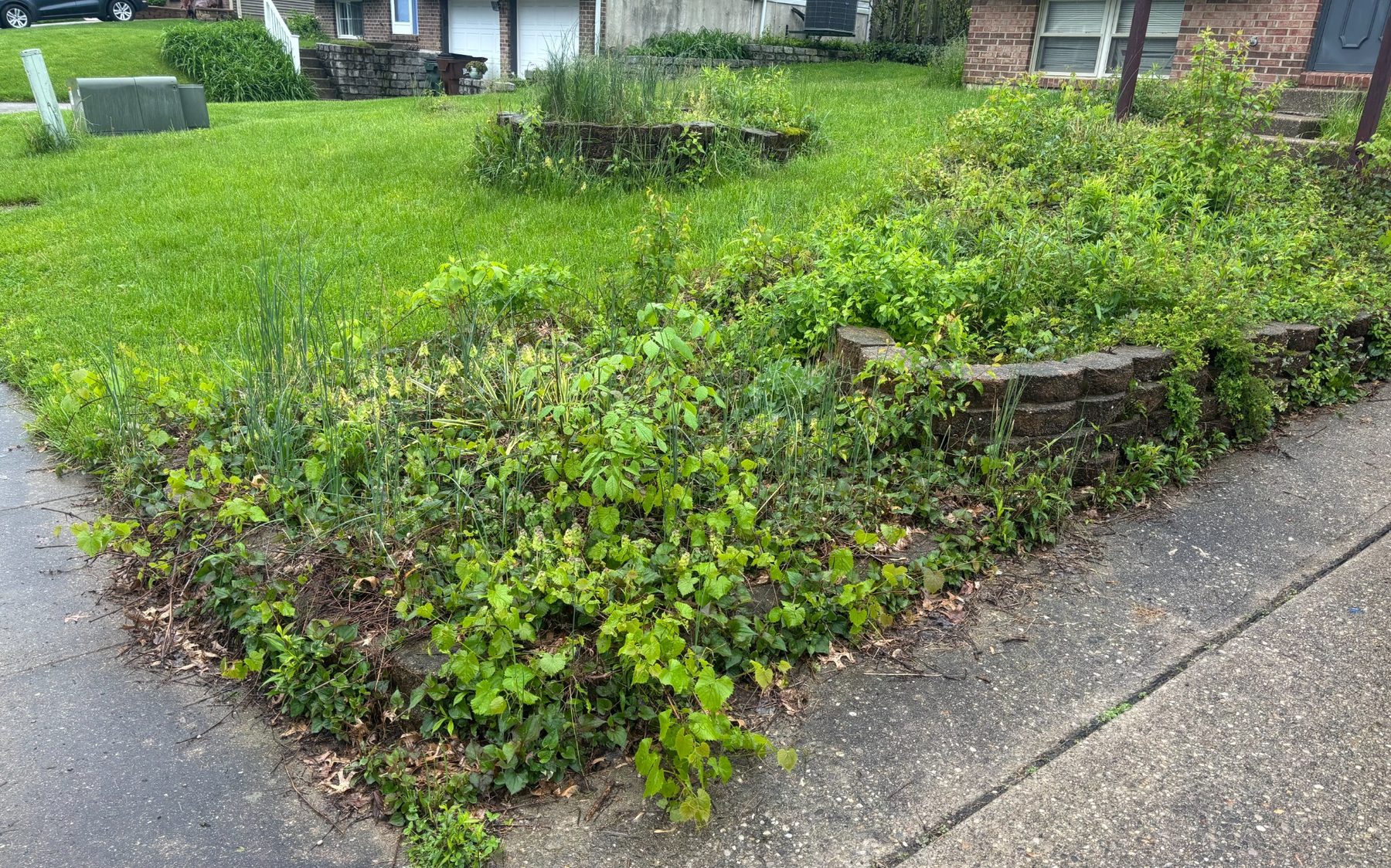 Before: existing landscape beds before refresh