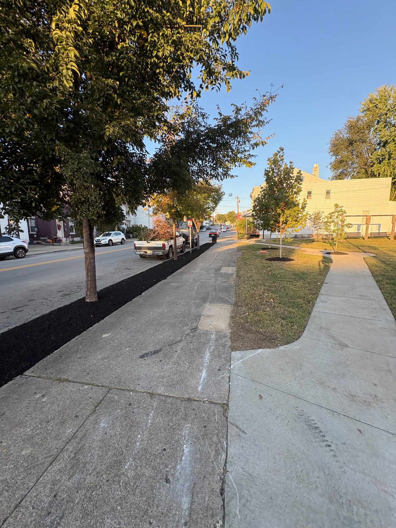 Street-side planting and sidewalk improvement